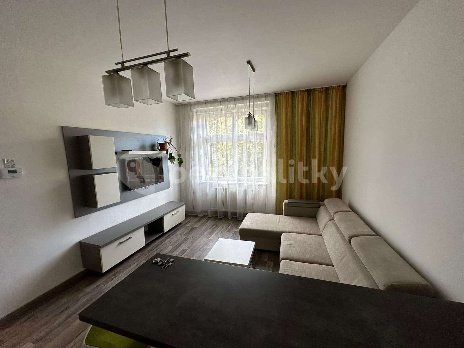 1 bedroom with open-plan kitchen flat to rent, 46 m², Ruská, Prague, Prague 1 bedroom with open-plan kitchen flat to rent, 46 m², Ruská, Prague, Prague