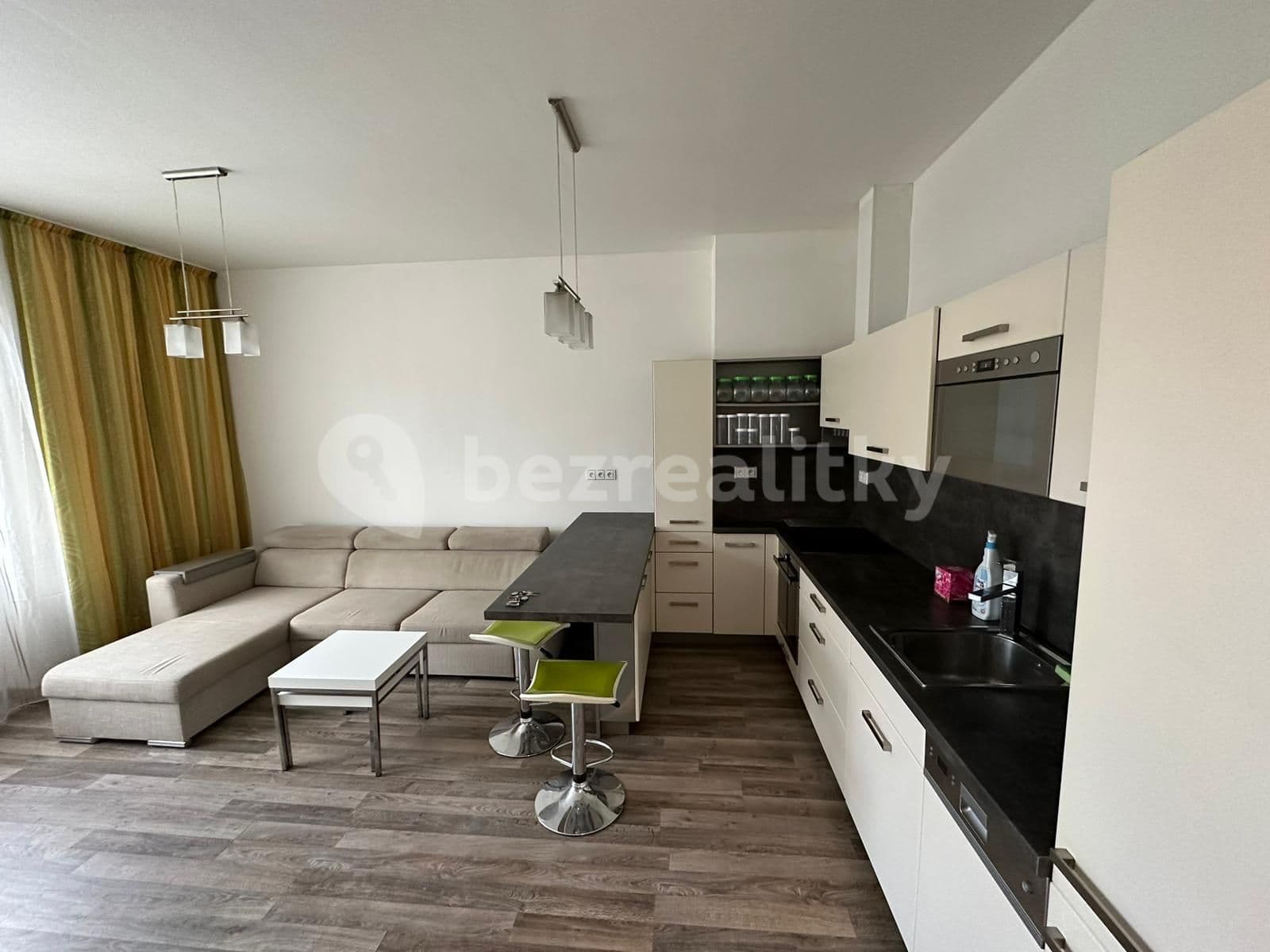 1 bedroom with open-plan kitchen flat to rent, 46 m², Ruská, Prague, Prague 1 bedroom with open-plan kitchen flat to rent, 46 m², Ruská, Prague, Prague