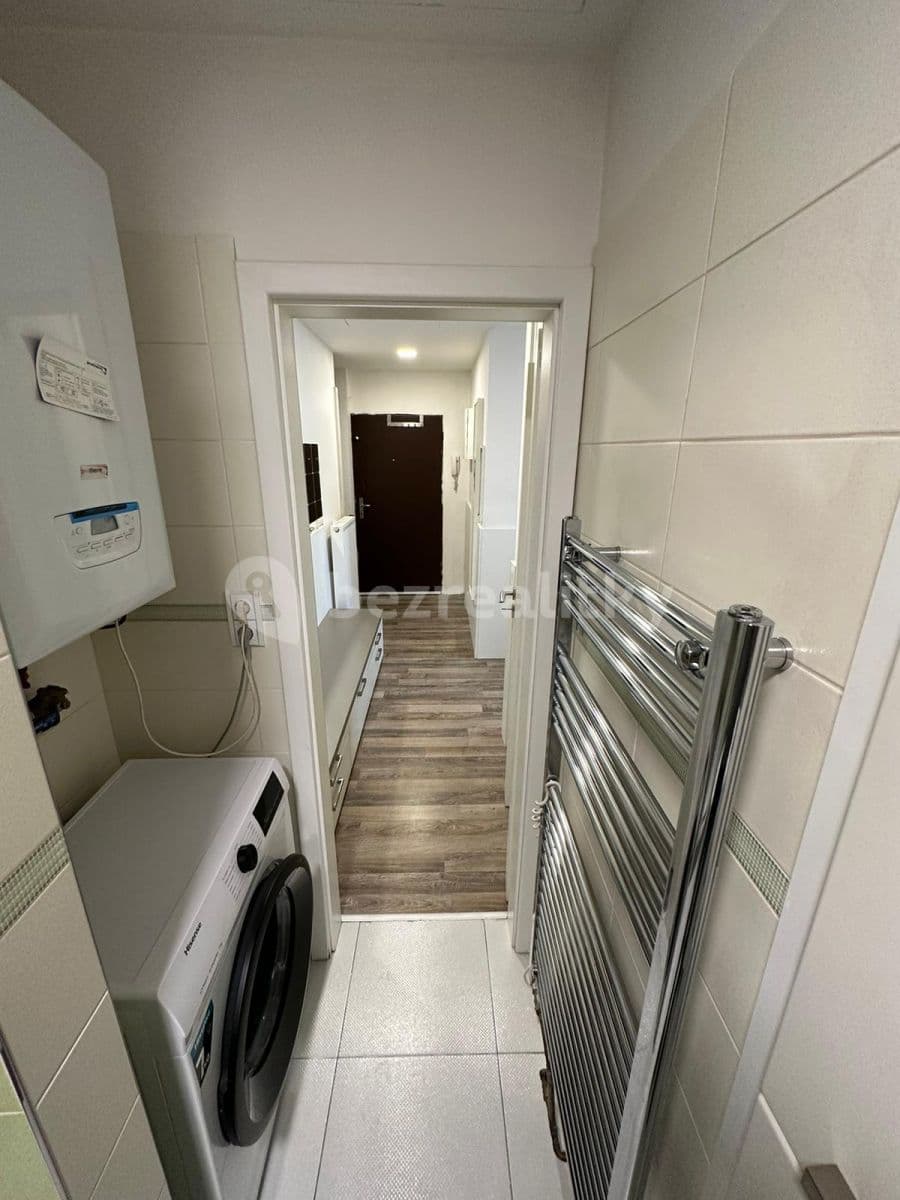 1 bedroom with open-plan kitchen flat to rent, 46 m², Ruská, Prague, Prague 1 bedroom with open-plan kitchen flat to rent, 46 m², Ruská, Prague, Prague