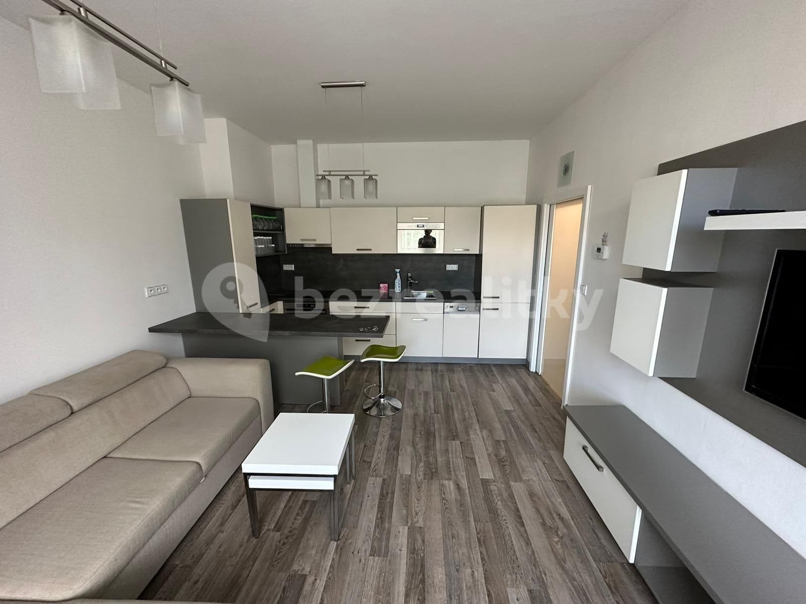 1 bedroom with open-plan kitchen flat to rent, 46 m², Ruská, Prague, Prague 1 bedroom with open-plan kitchen flat to rent, 46 m², Ruská, Prague, Prague