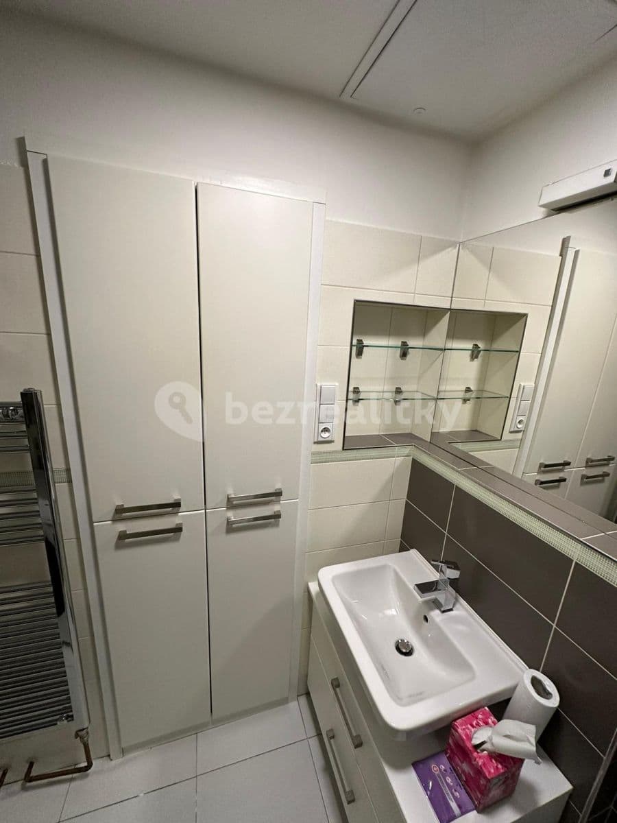 1 bedroom with open-plan kitchen flat to rent, 46 m², Ruská, Prague, Prague 1 bedroom with open-plan kitchen flat to rent, 46 m², Ruská, Prague, Prague