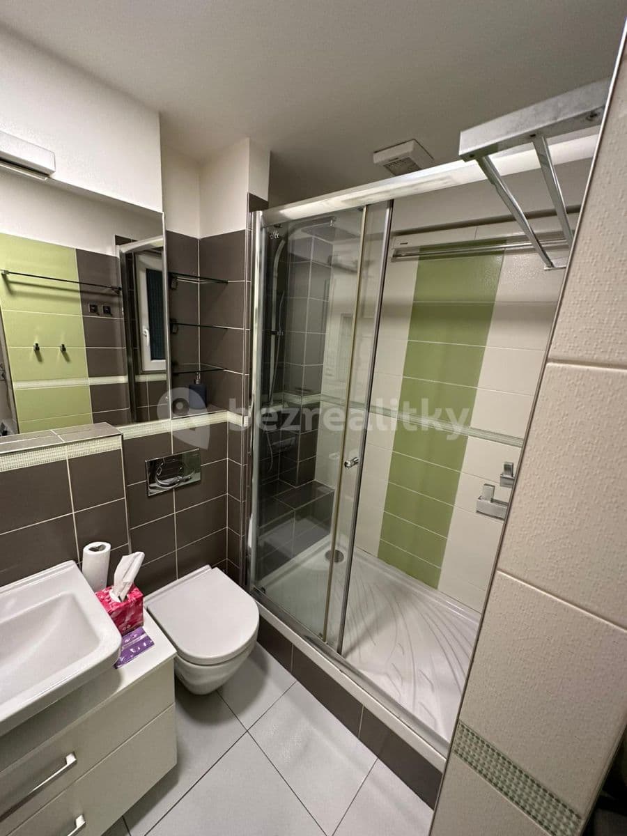 1 bedroom with open-plan kitchen flat to rent, 46 m², Ruská, Prague, Prague 1 bedroom with open-plan kitchen flat to rent, 46 m², Ruská, Prague, Prague