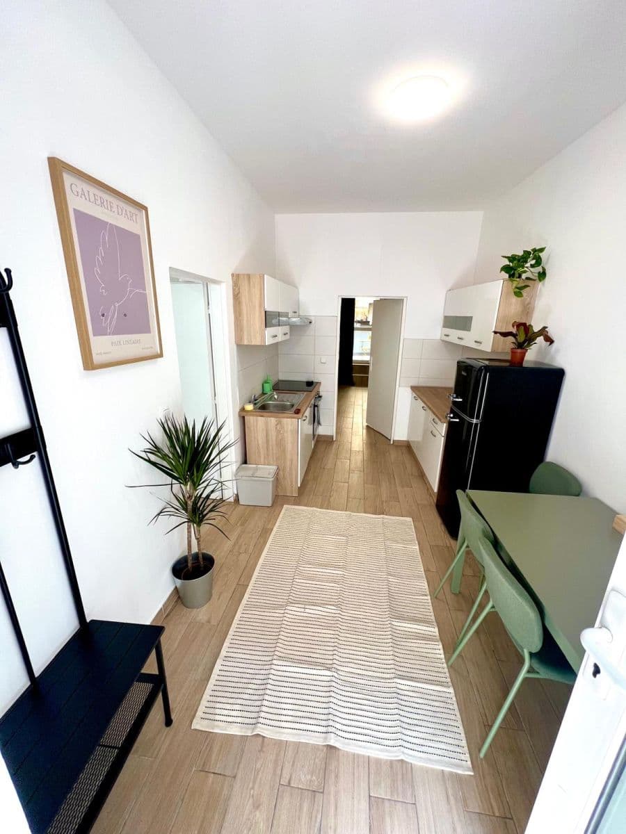 1 bedroom with open-plan kitchen flat to rent, 49 m², Holečkova, Prague, Prague 1 bedroom with open-plan kitchen flat to rent, 49 m², Holečkova, Prague, Prague