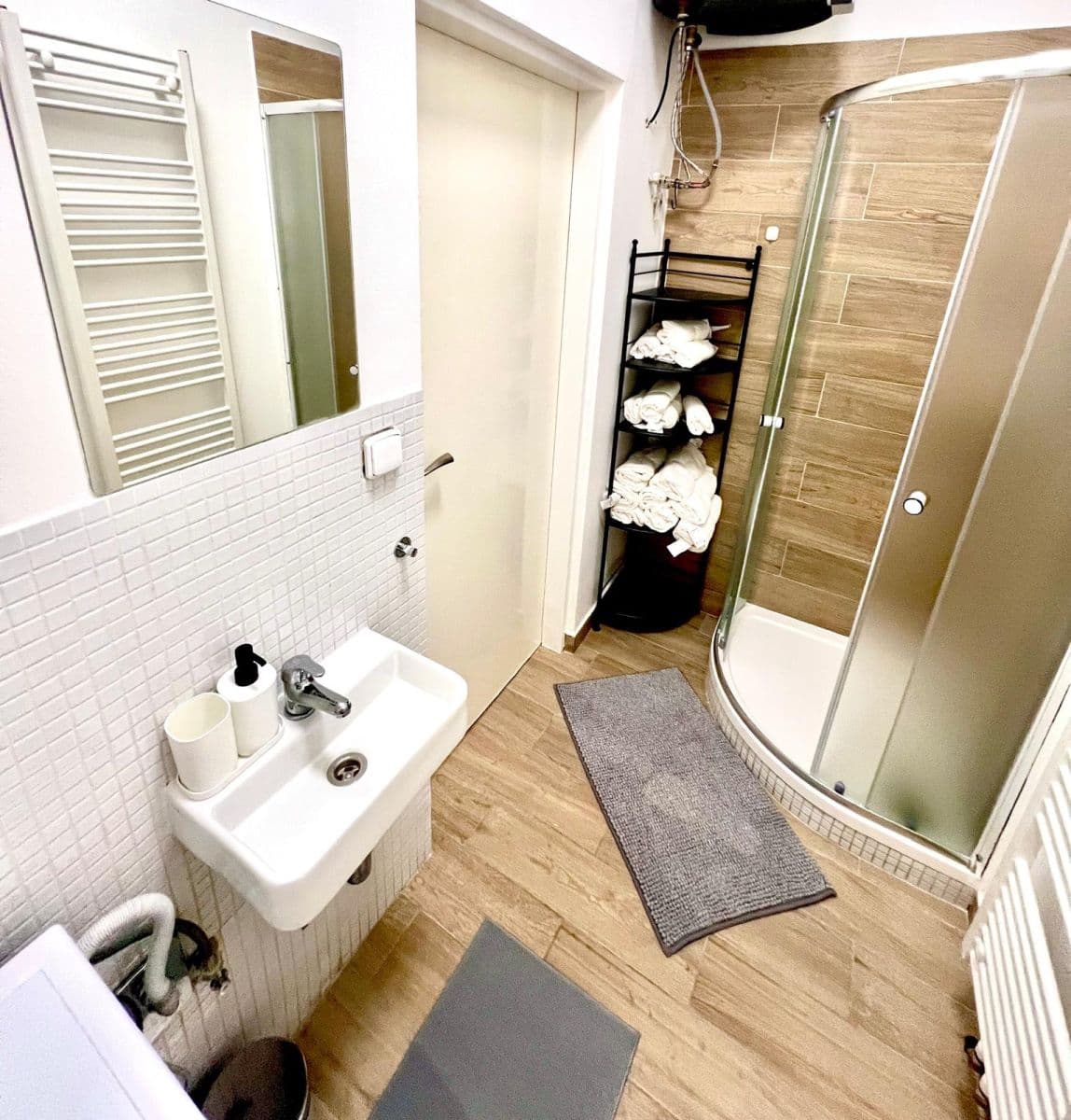 1 bedroom with open-plan kitchen flat to rent, 49 m², Holečkova, Prague, Prague 1 bedroom with open-plan kitchen flat to rent, 49 m², Holečkova, Prague, Prague