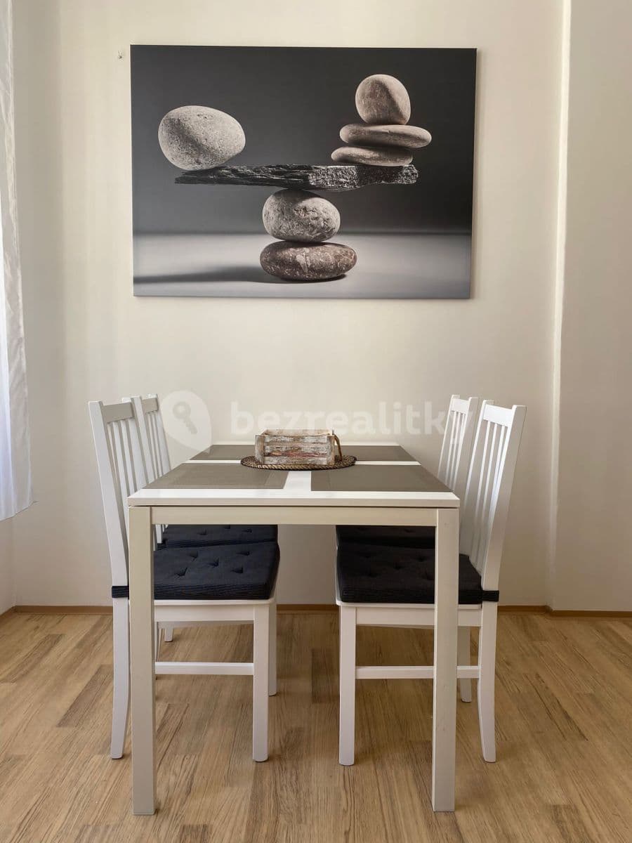 1 bedroom with open-plan kitchen flat to rent, 45 m², Zborovská, Prague, Prague 1 bedroom with open-plan kitchen flat to rent, 45 m², Zborovská, Prague, Prague