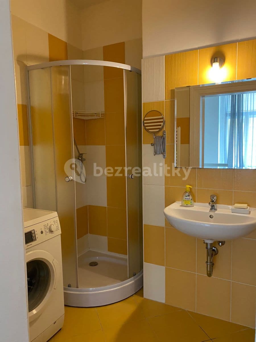 1 bedroom with open-plan kitchen flat to rent, 45 m², Zborovská, Prague, Prague 1 bedroom with open-plan kitchen flat to rent, 45 m², Zborovská, Prague, Prague
