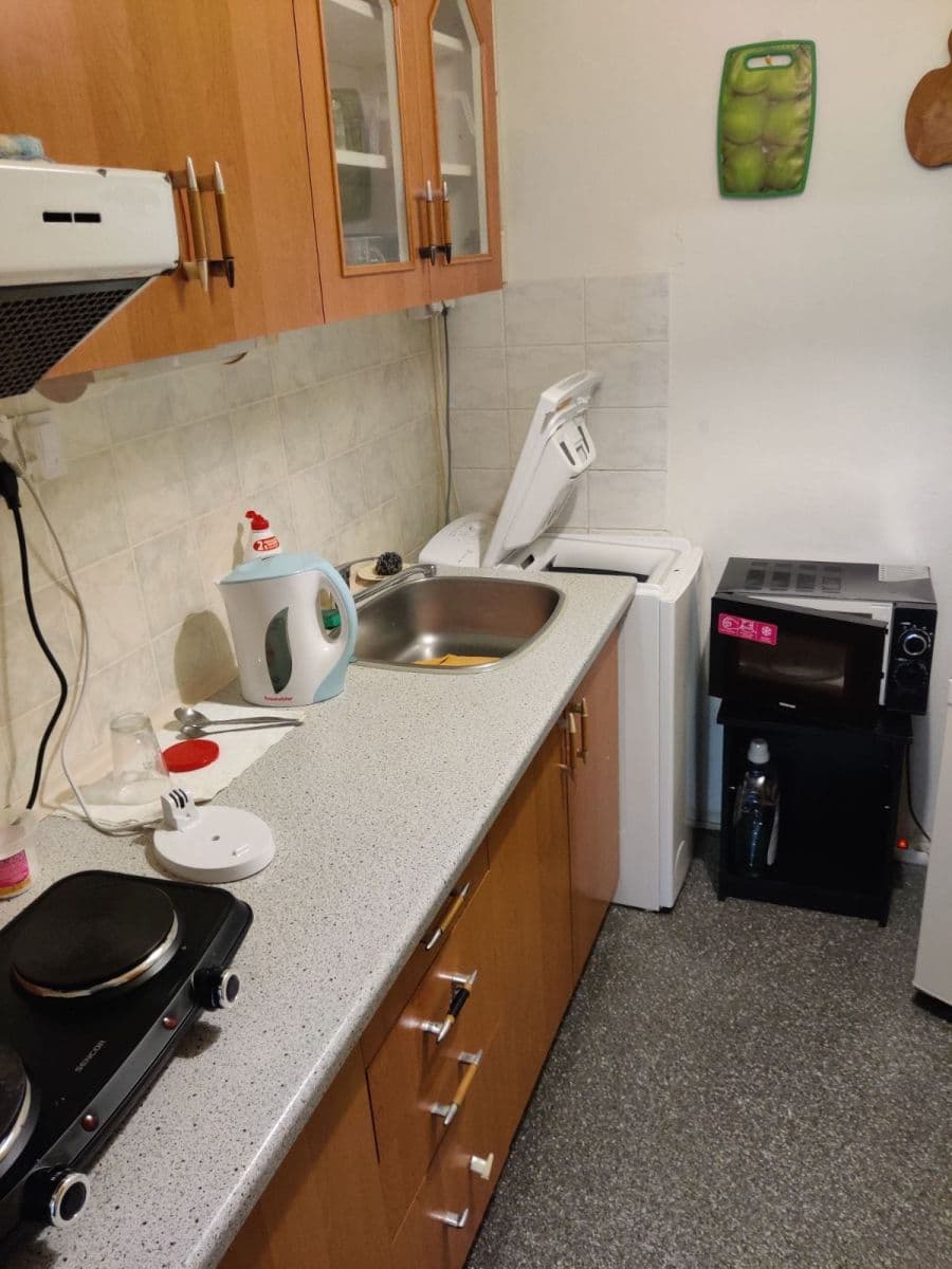 1 bedroom with open-plan kitchen flat for sale, 43 m², Přeštická, Prague, Prague 1 bedroom with open-plan kitchen flat for sale, 43 m², Přeštická, Prague, Prague