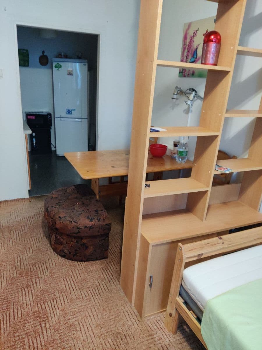 1 bedroom with open-plan kitchen flat for sale, 43 m², Přeštická, Prague, Prague 1 bedroom with open-plan kitchen flat for sale, 43 m², Přeštická, Prague, Prague