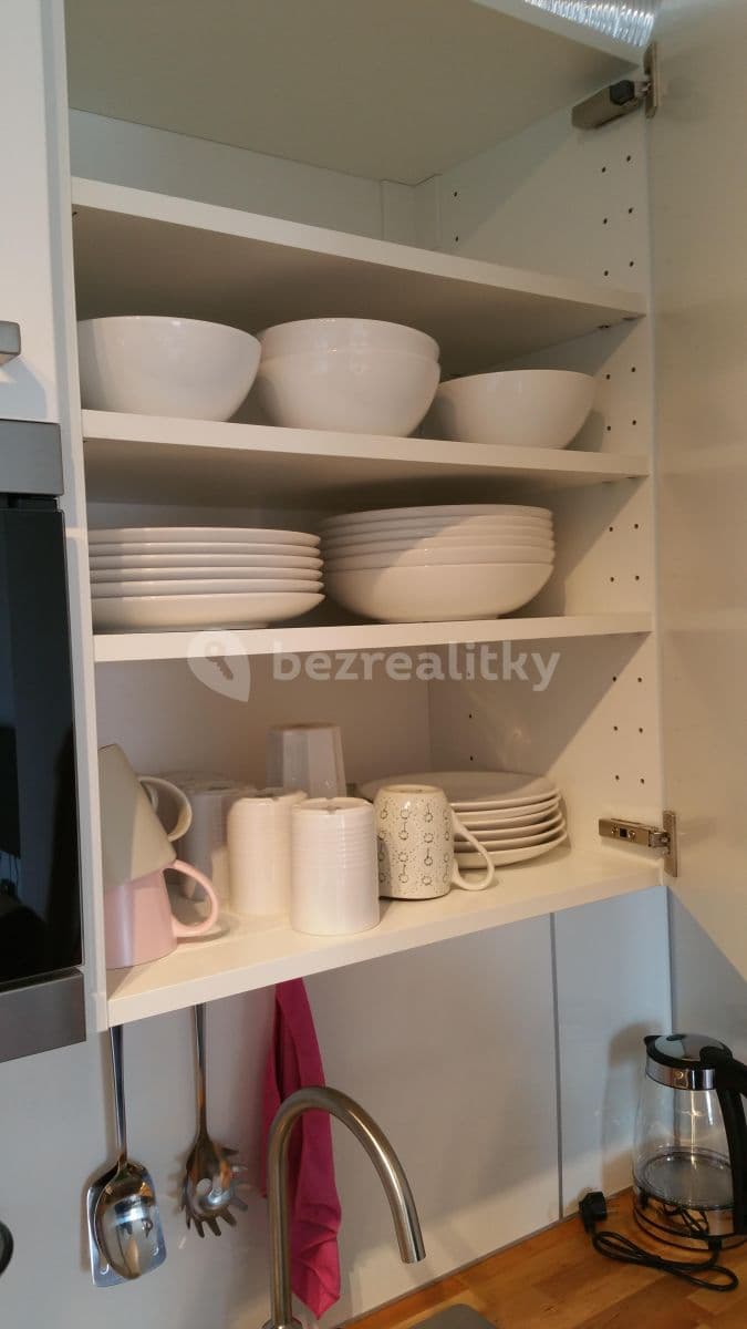 1 bedroom with open-plan kitchen flat to rent, 50 m², Jateční, Prague, Prague 1 bedroom with open-plan kitchen flat to rent, 50 m², Jateční, Prague, Prague