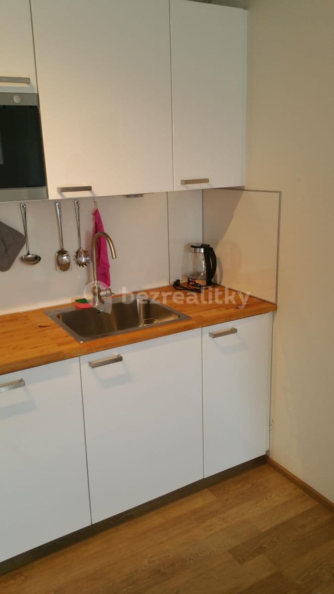 1 bedroom with open-plan kitchen flat to rent, 50 m², Jateční, Prague, Prague 1 bedroom with open-plan kitchen flat to rent, 50 m², Jateční, Prague, Prague