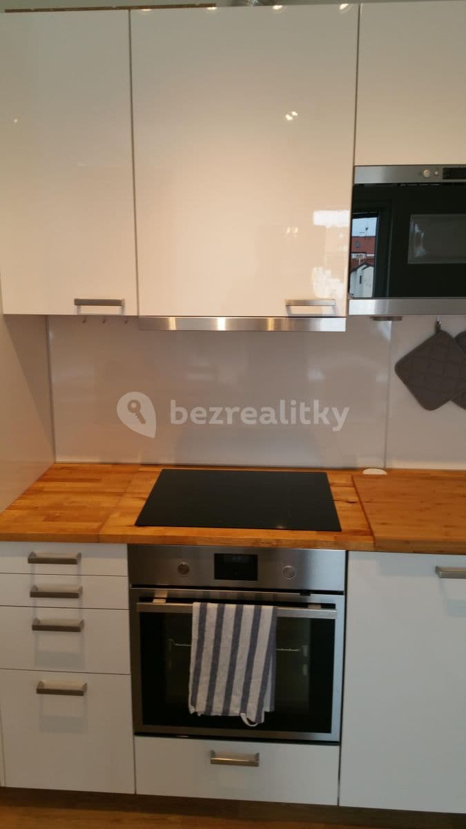1 bedroom with open-plan kitchen flat to rent, 50 m², Jateční, Prague, Prague 1 bedroom with open-plan kitchen flat to rent, 50 m², Jateční, Prague, Prague