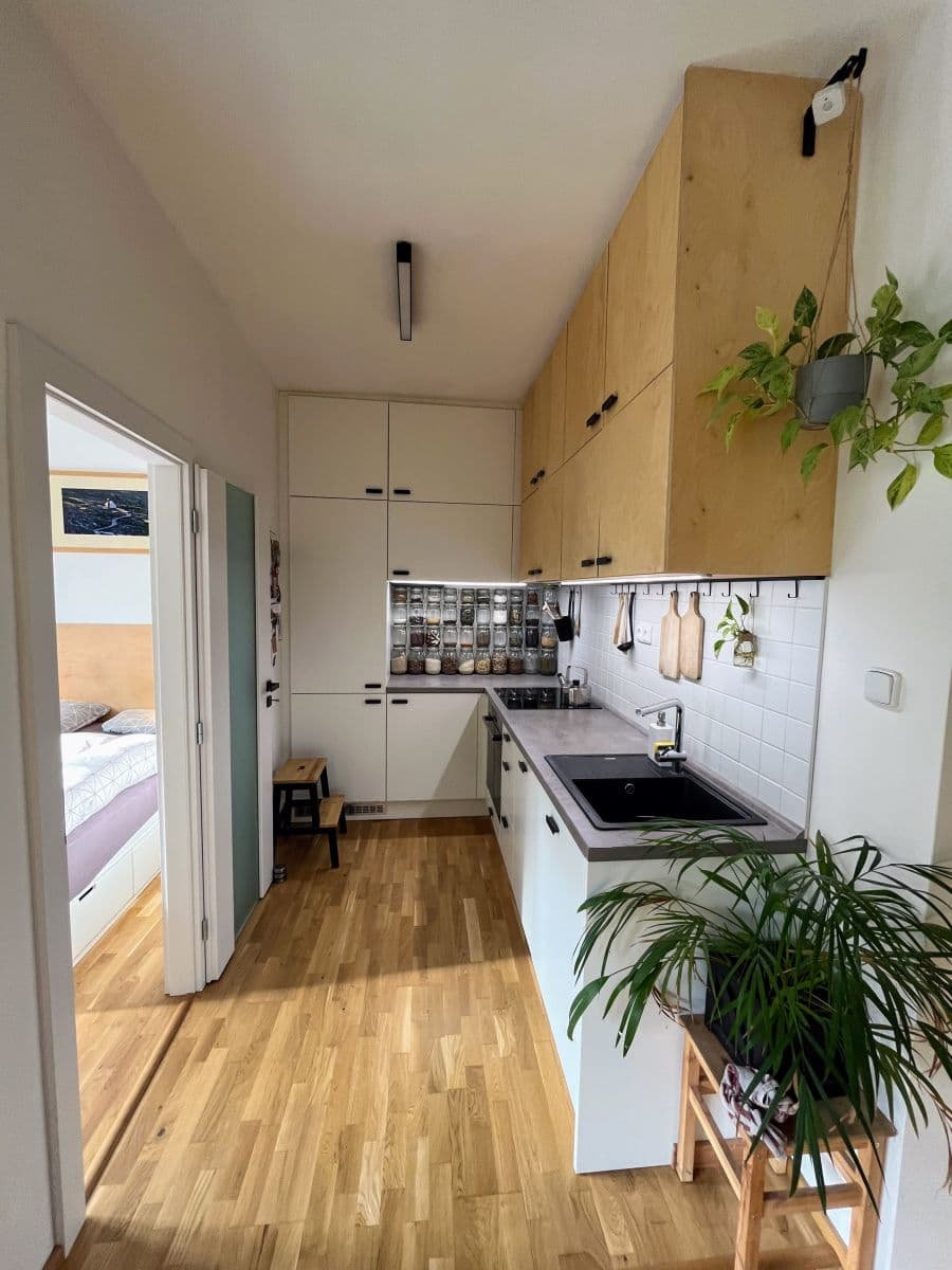 1 bedroom with open-plan kitchen flat to rent, 41 m², Koulova, Prague, Prague 1 bedroom with open-plan kitchen flat to rent, 41 m², Koulova, Prague, Prague