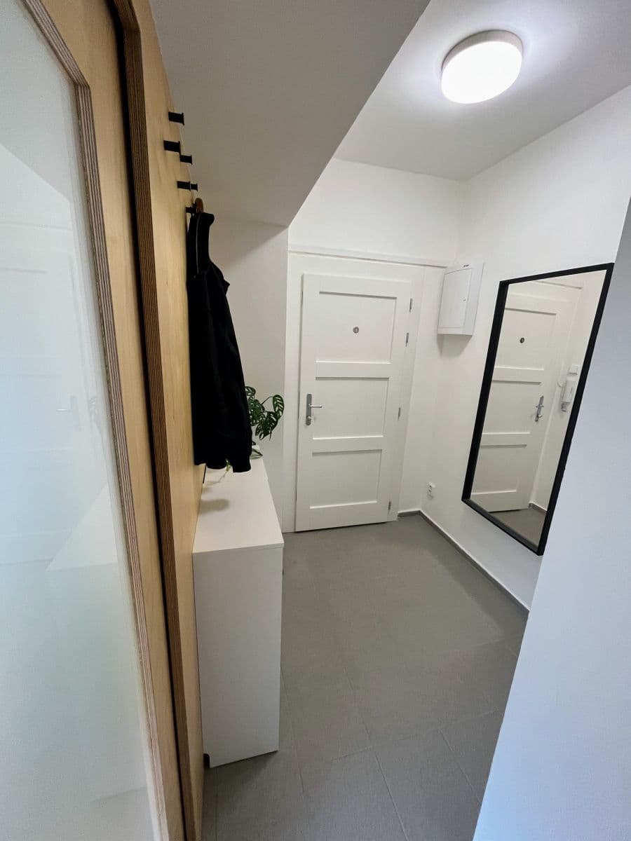 1 bedroom with open-plan kitchen flat to rent, 41 m², Koulova, Prague, Prague 1 bedroom with open-plan kitchen flat to rent, 41 m², Koulova, Prague, Prague