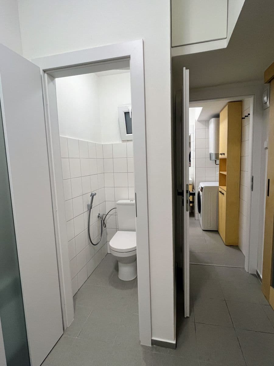1 bedroom with open-plan kitchen flat to rent, 41 m², Koulova, Prague, Prague 1 bedroom with open-plan kitchen flat to rent, 41 m², Koulova, Prague, Prague