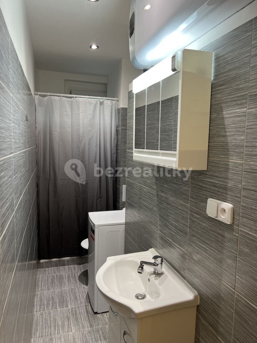 1 bedroom with open-plan kitchen flat to rent, 43 m², Svojsíkova, Prague, Prague 1 bedroom with open-plan kitchen flat to rent, 43 m², Svojsíkova, Prague, Prague