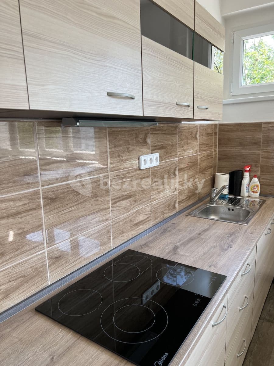 1 bedroom with open-plan kitchen flat to rent, 43 m², Svojsíkova, Prague, Prague 1 bedroom with open-plan kitchen flat to rent, 43 m², Svojsíkova, Prague, Prague