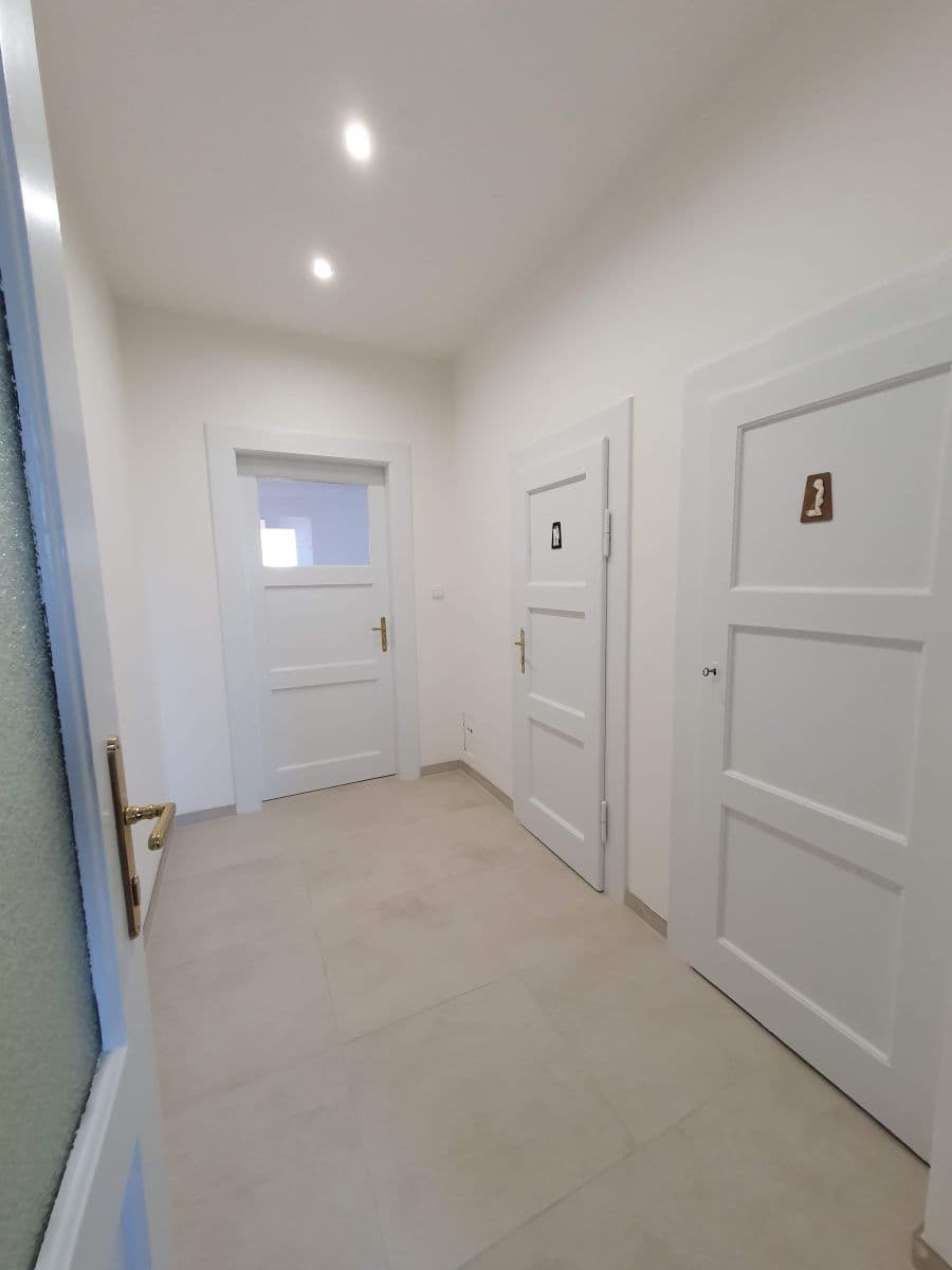 3 bedroom with open-plan kitchen flat to rent, 93 m², Vochovská, Plzeň, Plzeňský Region 3 bedroom with open-plan kitchen flat to rent, 93 m², Vochovská, Plzeň, Plzeňský Region