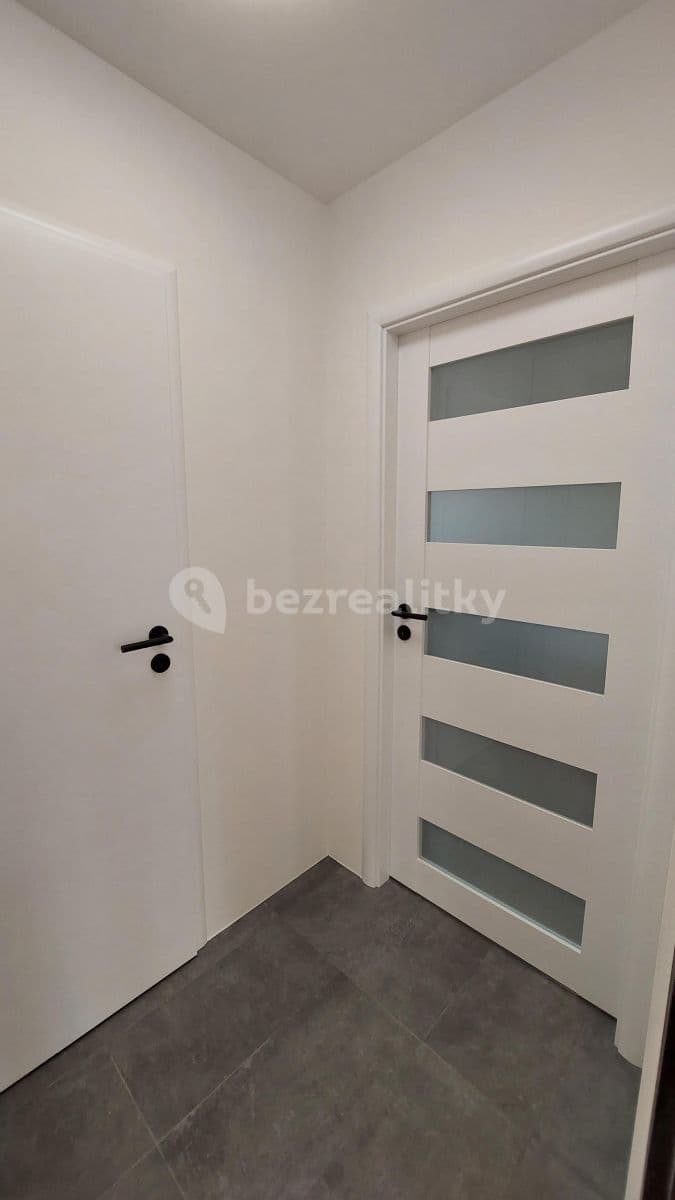 Small studio flat to rent, 33 m², Děkanská vinice Ⅱ, Prague, Prague Small studio flat to rent, 33 m², Děkanská vinice Ⅱ, Prague, Prague