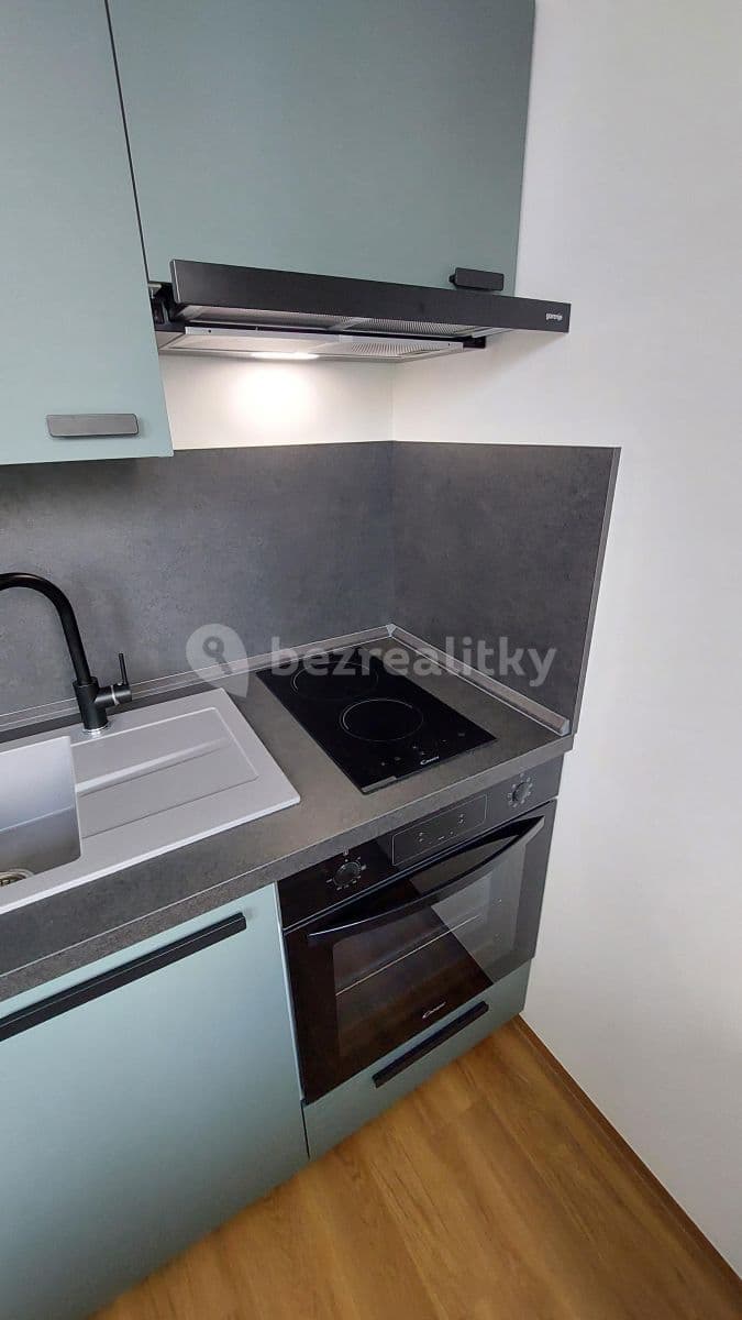 Small studio flat to rent, 33 m², Děkanská vinice Ⅱ, Prague, Prague Small studio flat to rent, 33 m², Děkanská vinice Ⅱ, Prague, Prague