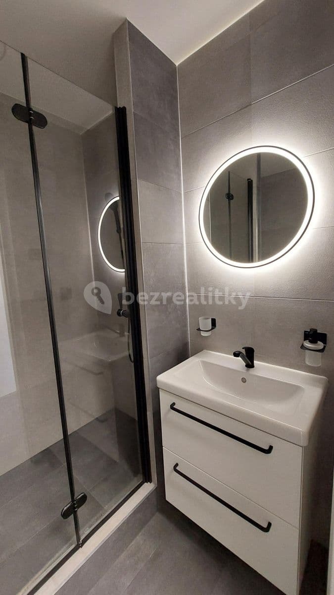 Small studio flat to rent, 33 m², Děkanská vinice Ⅱ, Prague, Prague Small studio flat to rent, 33 m², Děkanská vinice Ⅱ, Prague, Prague