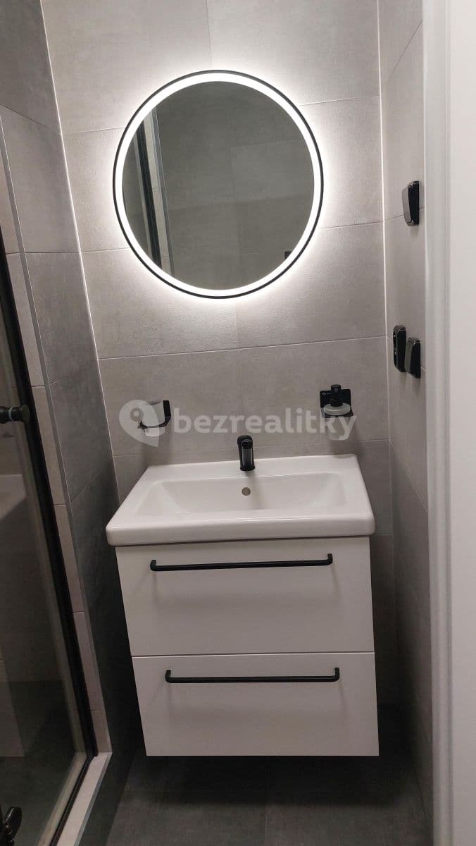 Small studio flat to rent, 33 m², Děkanská vinice Ⅱ, Prague, Prague Small studio flat to rent, 33 m², Děkanská vinice Ⅱ, Prague, Prague