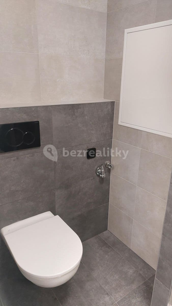 Small studio flat to rent, 33 m², Děkanská vinice Ⅱ, Prague, Prague Small studio flat to rent, 33 m², Děkanská vinice Ⅱ, Prague, Prague