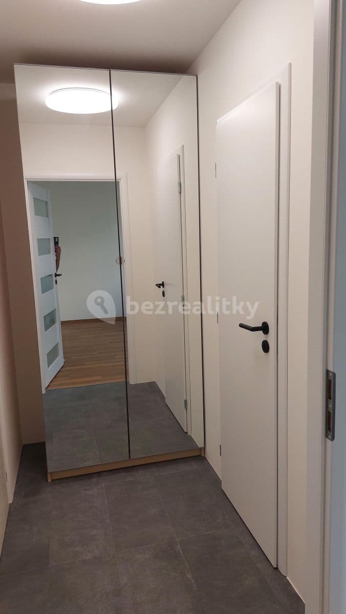 Small studio flat to rent, 33 m², Děkanská vinice Ⅱ, Prague, Prague Small studio flat to rent, 33 m², Děkanská vinice Ⅱ, Prague, Prague