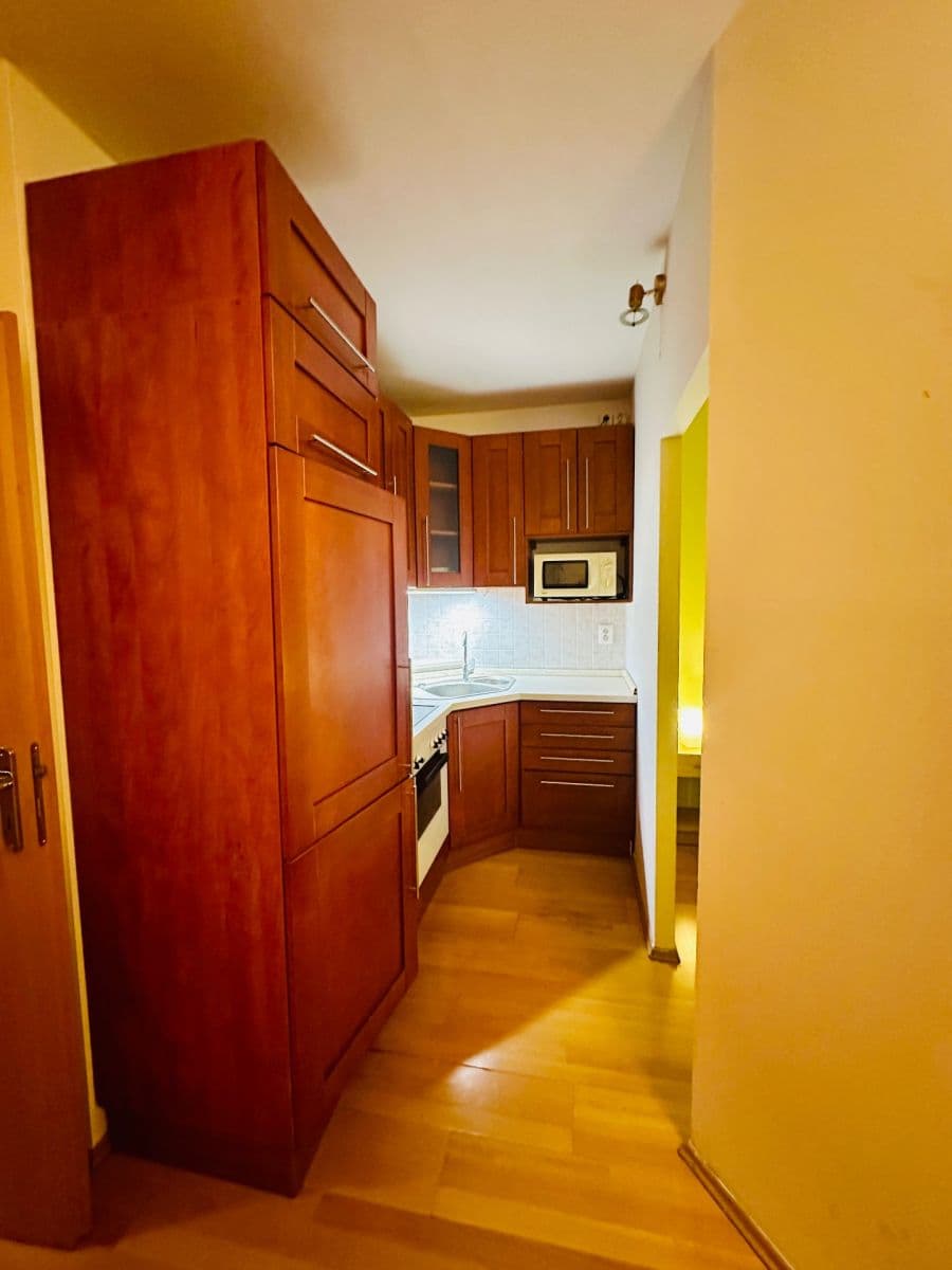 1 bedroom with open-plan kitchen flat to rent, 33 m², Kovanecká, Prague, Prague 1 bedroom with open-plan kitchen flat to rent, 33 m², Kovanecká, Prague, Prague