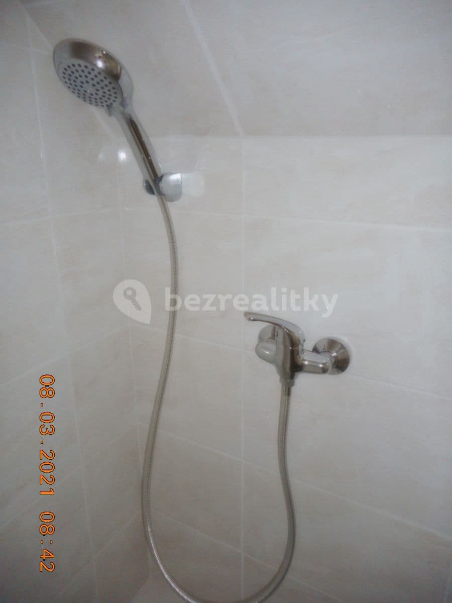 1 bedroom with open-plan kitchen flat to rent, 40 m², Roztylské sady, Prague, Prague 1 bedroom with open-plan kitchen flat to rent, 40 m², Roztylské sady, Prague, Prague