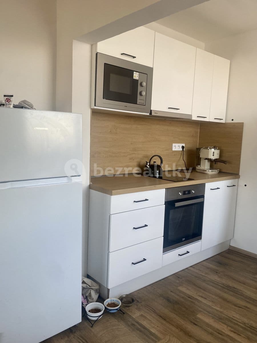 1 bedroom with open-plan kitchen flat to rent, 44 m², Jabloňová, Prague, Prague 1 bedroom with open-plan kitchen flat to rent, 44 m², Jabloňová, Prague, Prague