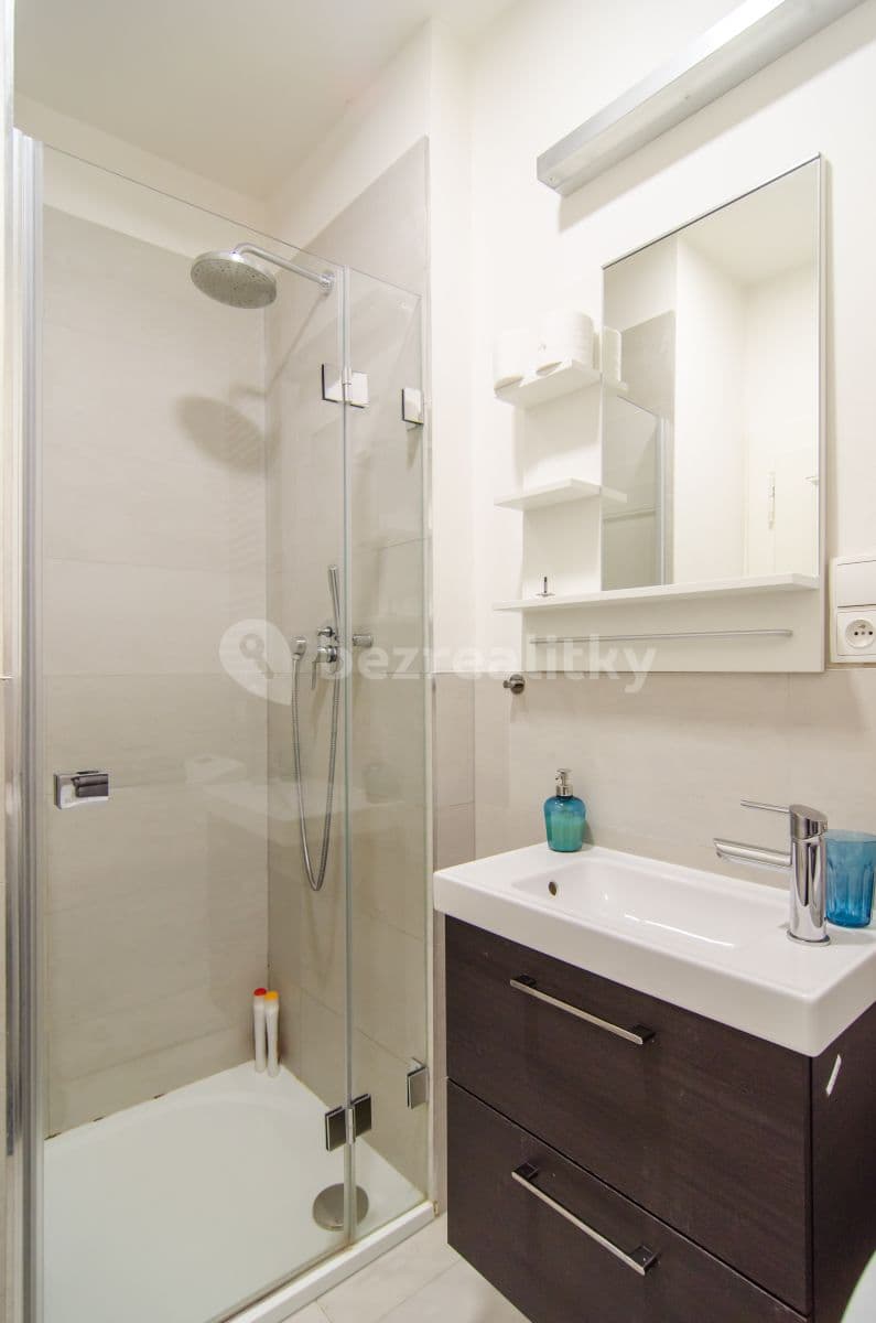 1 bedroom with open-plan kitchen flat to rent, 48 m², Kaizlovy sady, Prague, Prague 1 bedroom with open-plan kitchen flat to rent, 48 m², Kaizlovy sady, Prague, Prague