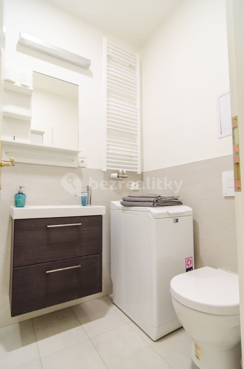 1 bedroom with open-plan kitchen flat to rent, 48 m², Kaizlovy sady, Prague, Prague 1 bedroom with open-plan kitchen flat to rent, 48 m², Kaizlovy sady, Prague, Prague