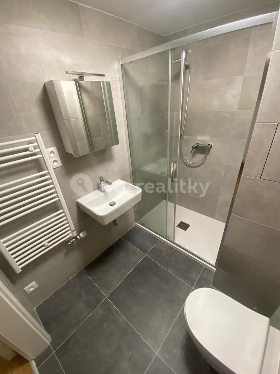 Studio flat to rent, 28 m², Na Farkáně Ⅰ, Prague, Prague Studio flat to rent, 28 m², Na Farkáně Ⅰ, Prague, Prague