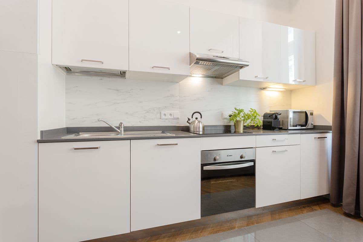 1 bedroom with open-plan kitchen flat to rent, 40 m², Staropramenná, Prague, Prague 1 bedroom with open-plan kitchen flat to rent, 40 m², Staropramenná, Prague, Prague