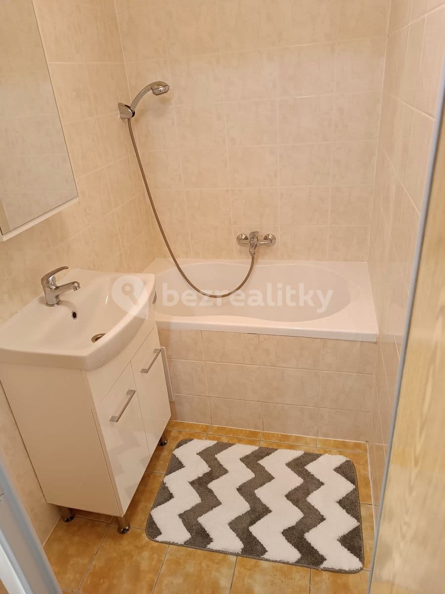 1 bedroom with open-plan kitchen flat to rent, 39 m², Rabštejnská, Plzeň, Plzeňský Region 1 bedroom with open-plan kitchen flat to rent, 39 m², Rabštejnská, Plzeň, Plzeňský Region
