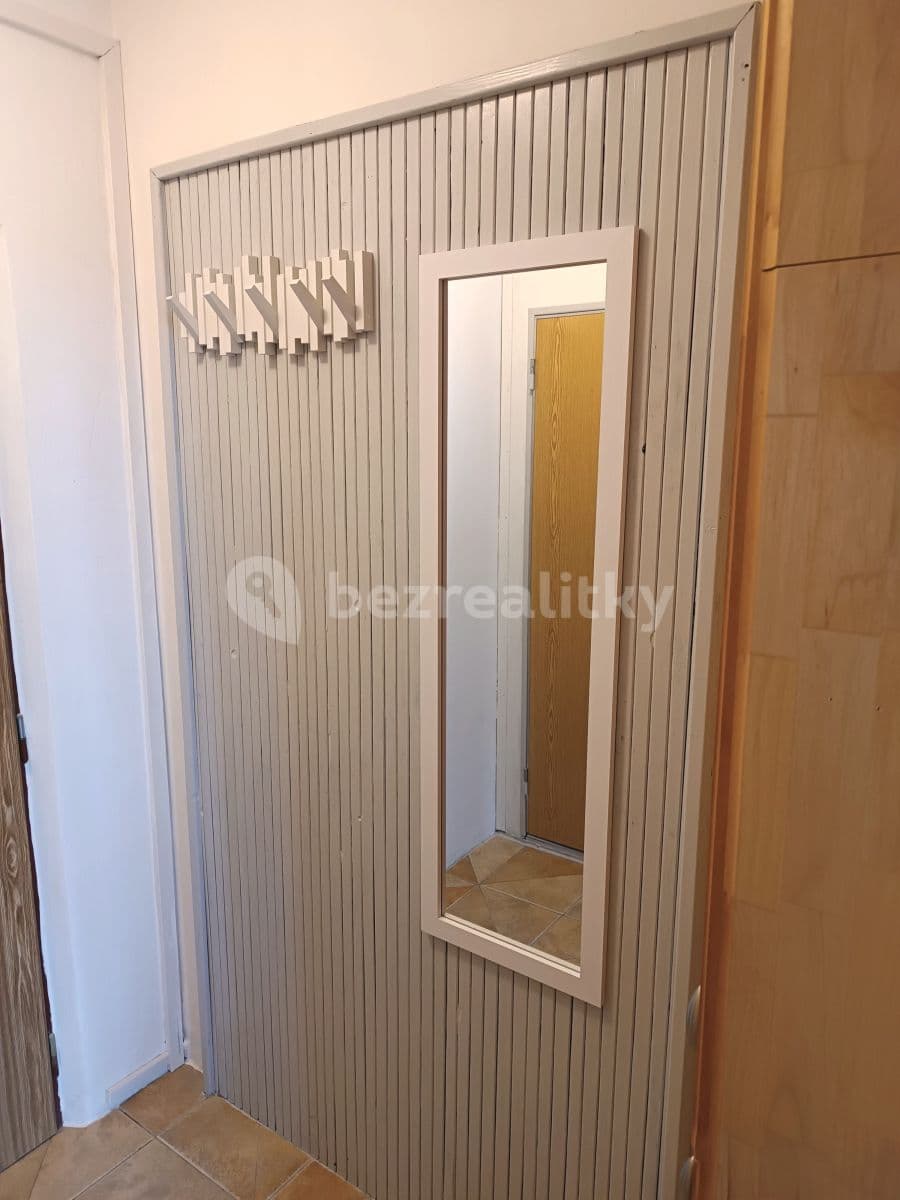 1 bedroom with open-plan kitchen flat to rent, 39 m², Rabštejnská, Plzeň, Plzeňský Region 1 bedroom with open-plan kitchen flat to rent, 39 m², Rabštejnská, Plzeň, Plzeňský Region