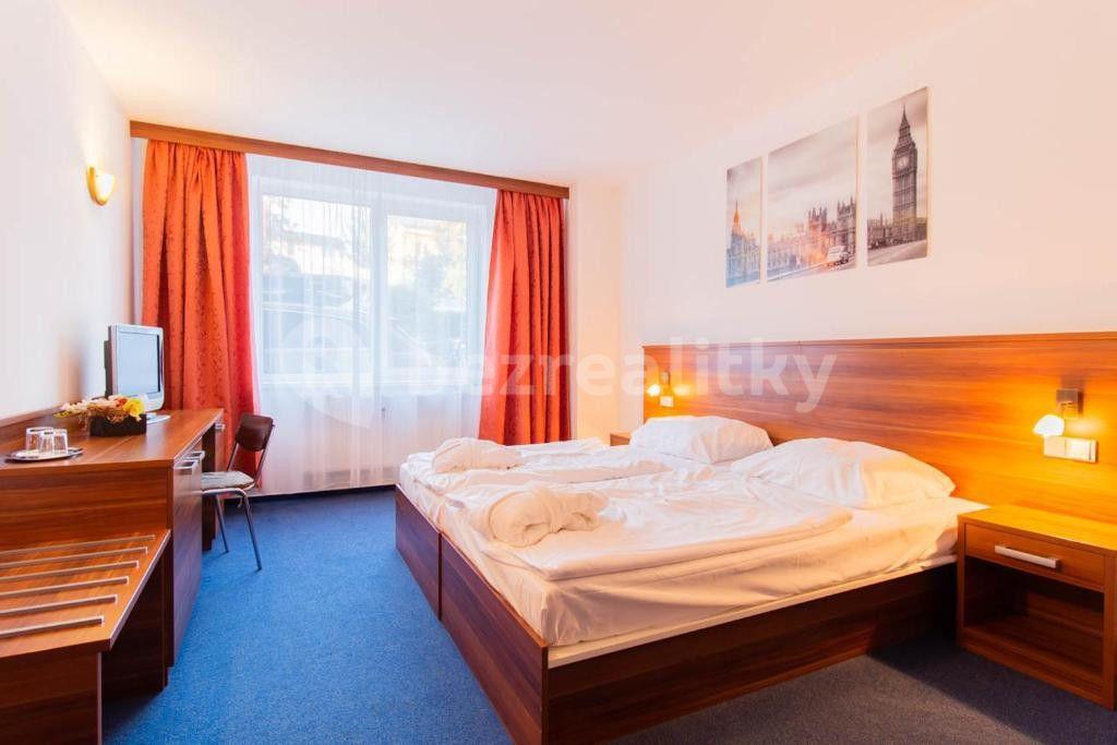1 bedroom flat for sale, 42 m², Frymburk, Jihočeský Region