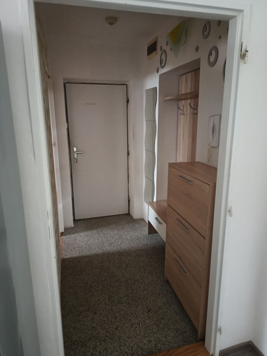 1 bedroom with open-plan kitchen flat to rent, 52 m², Alešova, Plzeň, Plzeňský Region 1 bedroom with open-plan kitchen flat to rent, 52 m², Alešova, Plzeň, Plzeňský Region