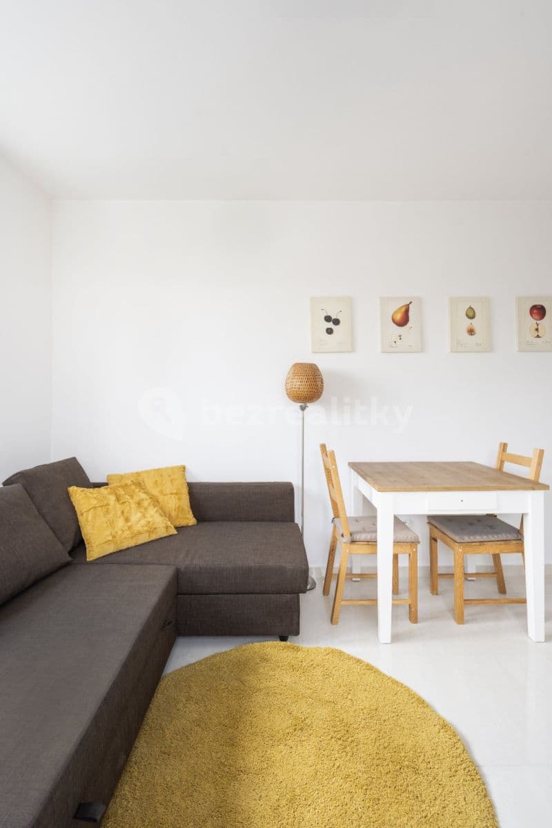 1 bedroom with open-plan kitchen flat to rent, 30 m², Družstevní ochoz, Prague, Prague 1 bedroom with open-plan kitchen flat to rent, 30 m², Družstevní ochoz, Prague, Prague