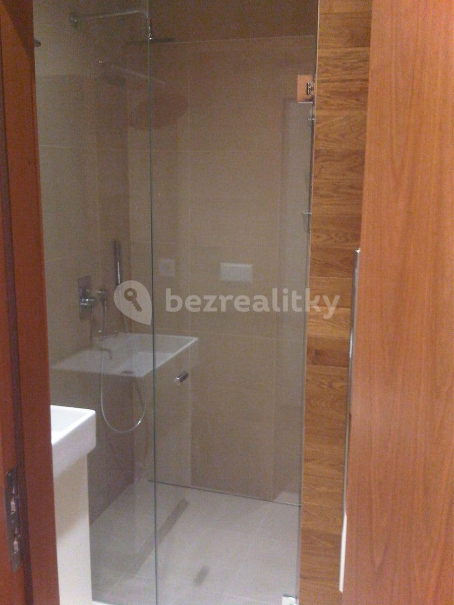 1 bedroom with open-plan kitchen flat to rent, 55 m², U Studánky, Prague, Prague 1 bedroom with open-plan kitchen flat to rent, 55 m², U Studánky, Prague, Prague