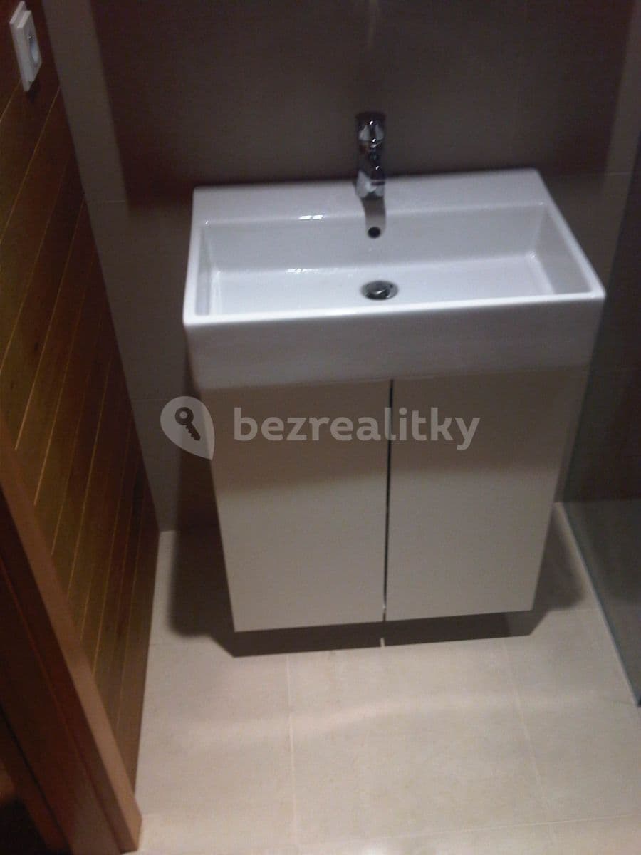 1 bedroom with open-plan kitchen flat to rent, 55 m², U Studánky, Prague, Prague 1 bedroom with open-plan kitchen flat to rent, 55 m², U Studánky, Prague, Prague