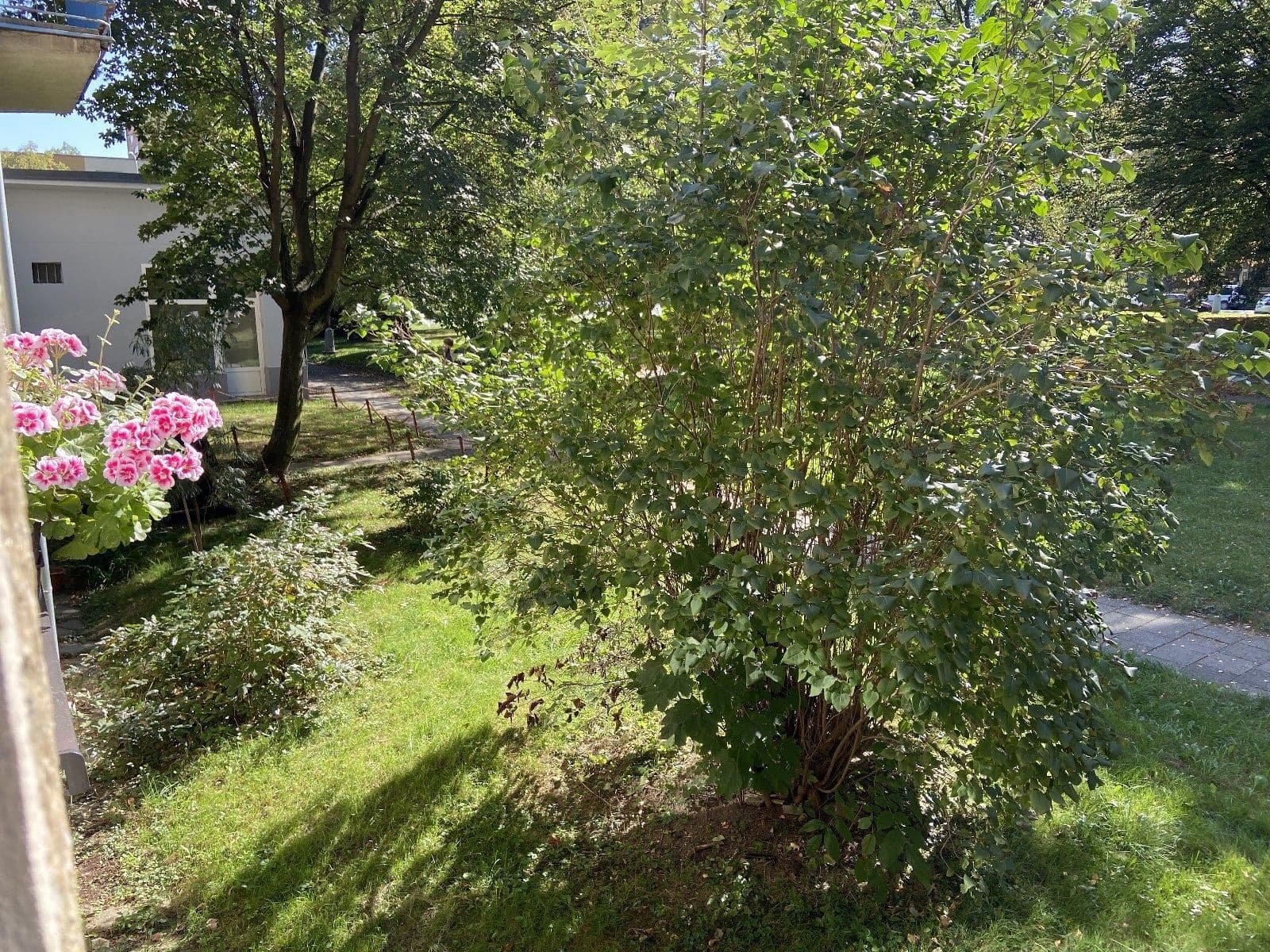 Studio flat to rent, 20 m², Ostrovského, Havířov, Moravskoslezský Region Studio flat to rent, 20 m², Ostrovského, Havířov, Moravskoslezský Region