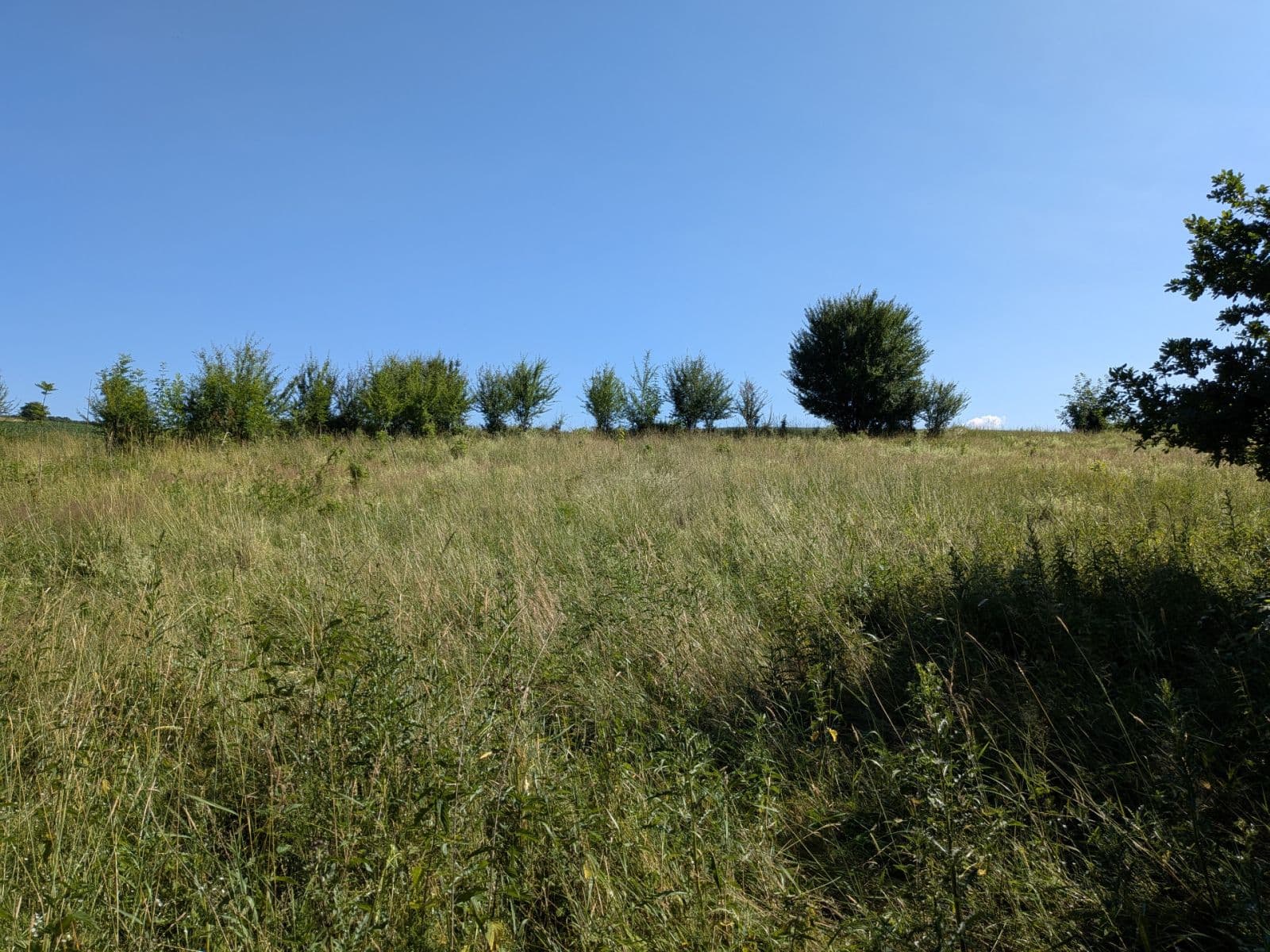 plot for sale, 11,768 m², Všeruby, Plzeňský Region plot for sale, 11,768 m², Všeruby, Plzeňský Region