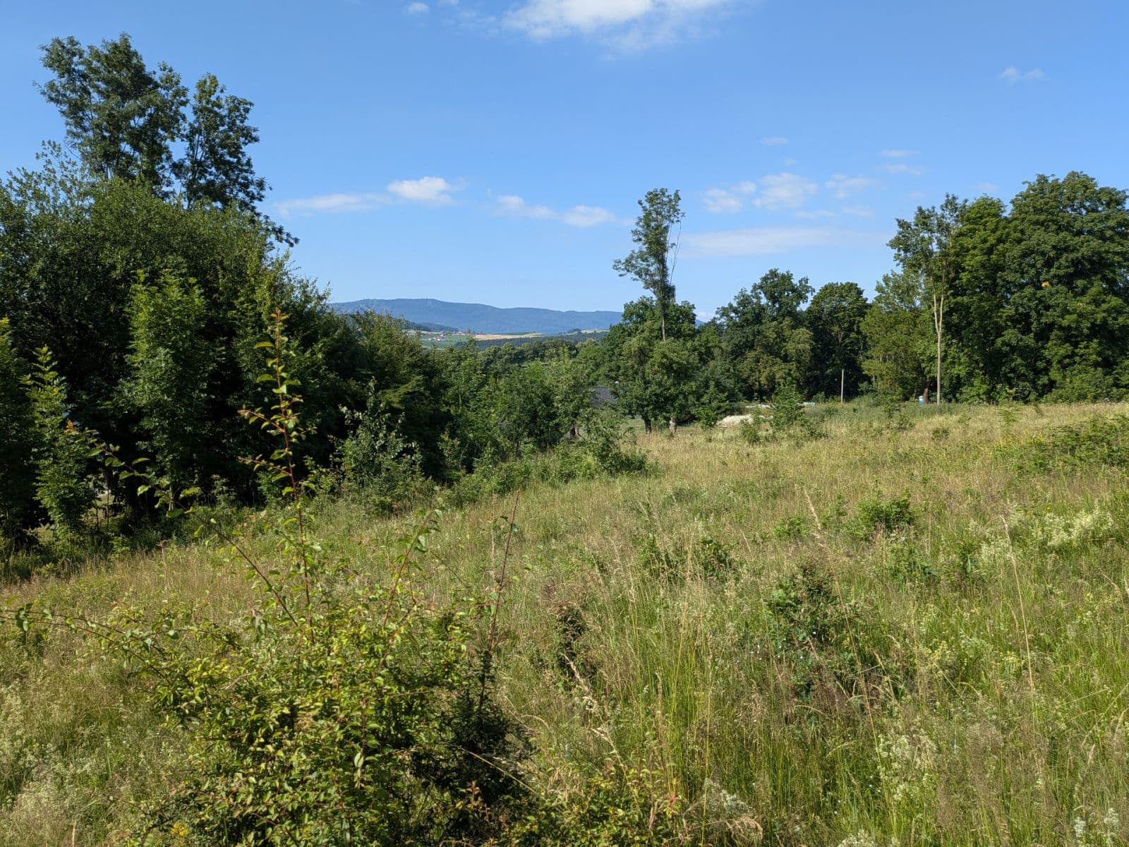 plot for sale, 11,768 m², Všeruby, Plzeňský Region plot for sale, 11,768 m², Všeruby, Plzeňský Region