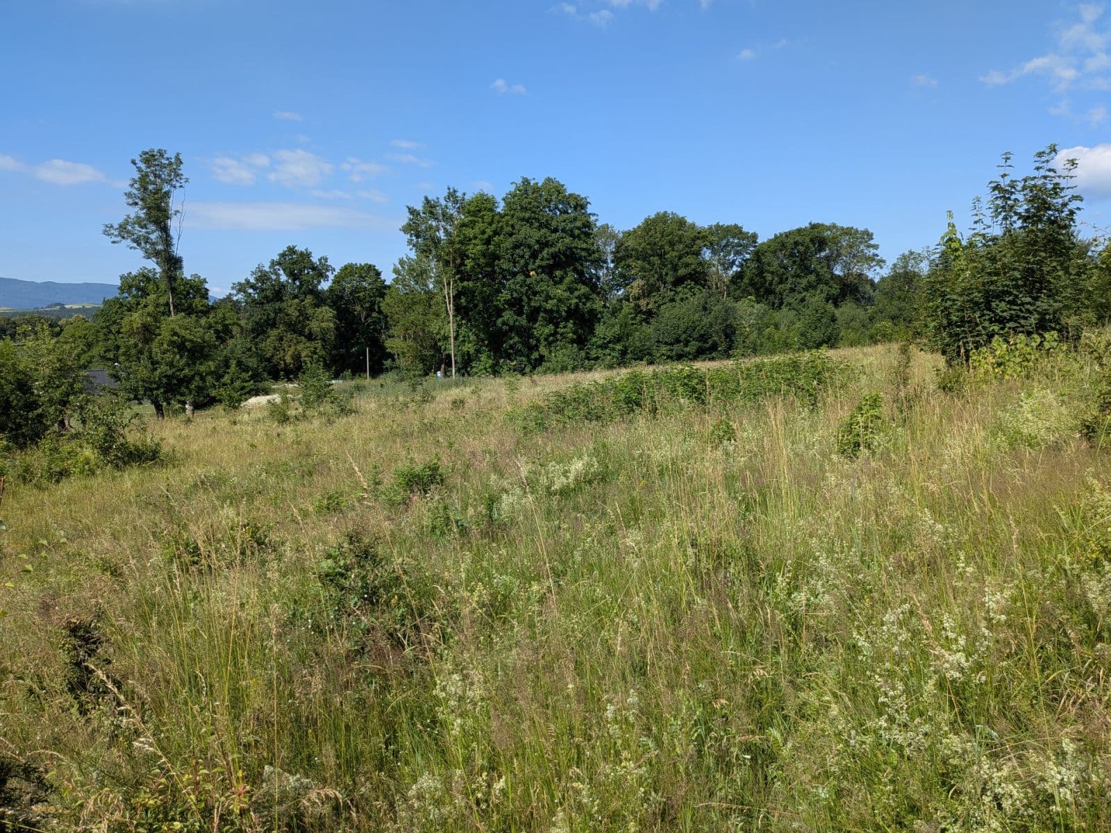 plot for sale, 11,768 m², Všeruby, Plzeňský Region plot for sale, 11,768 m², Všeruby, Plzeňský Region