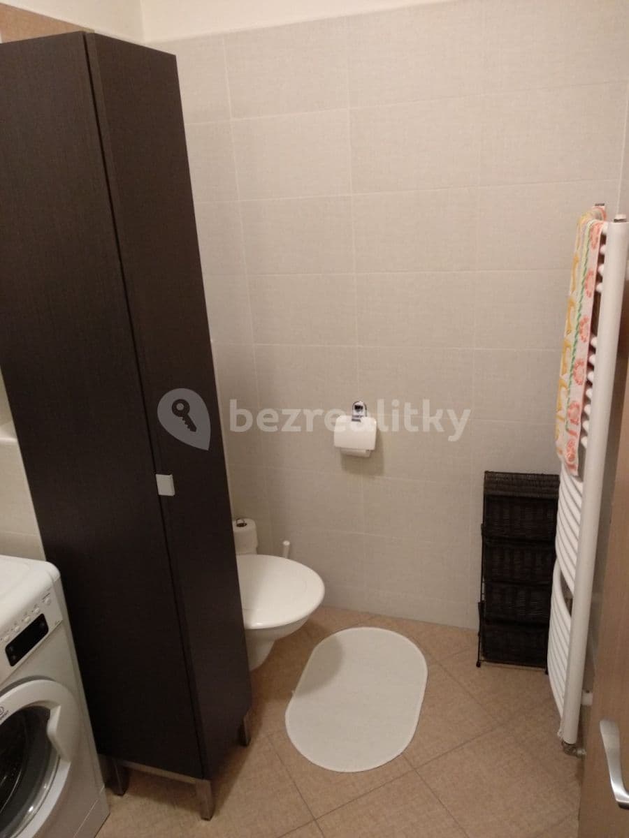 Studio flat to rent, 35 m², U Dráhy, Ostopovice, Jihomoravský Region Studio flat to rent, 35 m², U Dráhy, Ostopovice, Jihomoravský Region