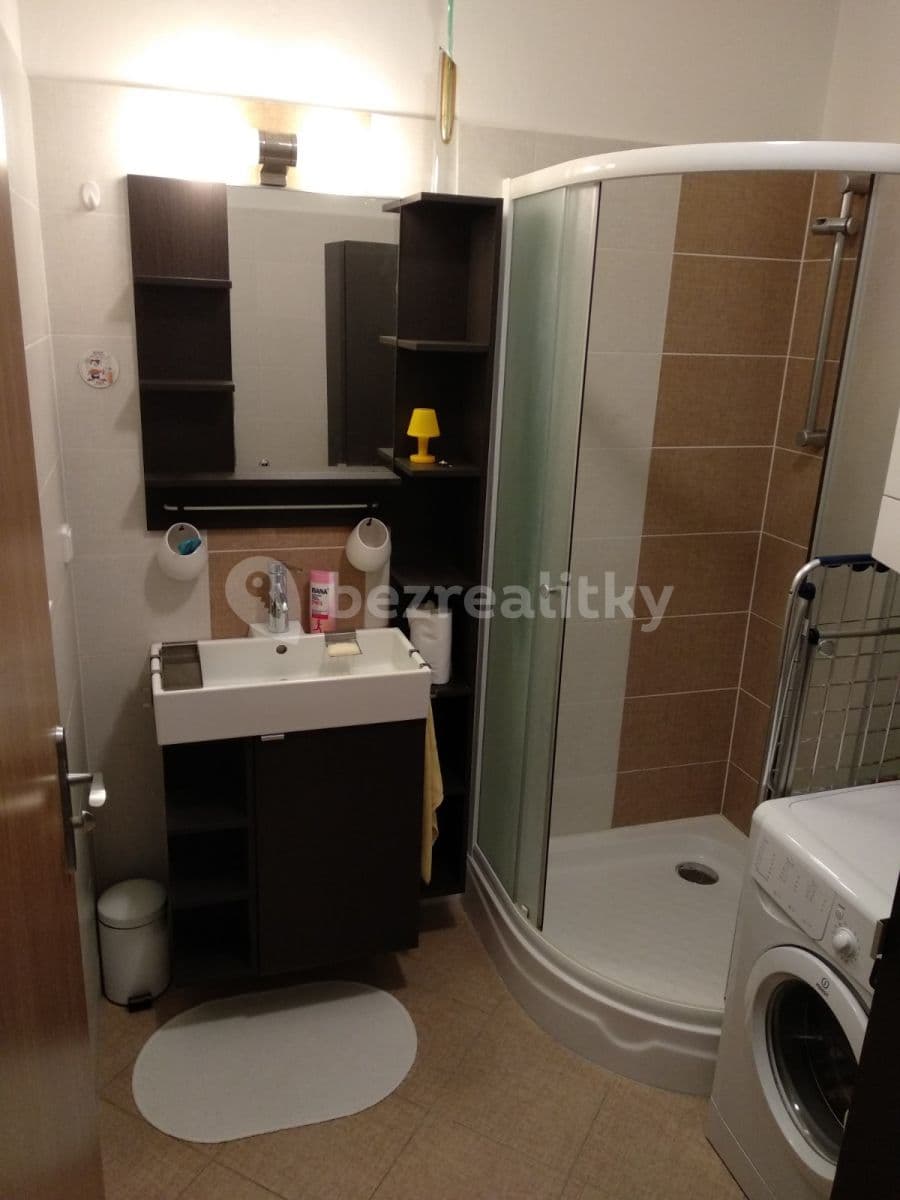 Studio flat to rent, 35 m², U Dráhy, Ostopovice, Jihomoravský Region Studio flat to rent, 35 m², U Dráhy, Ostopovice, Jihomoravský Region