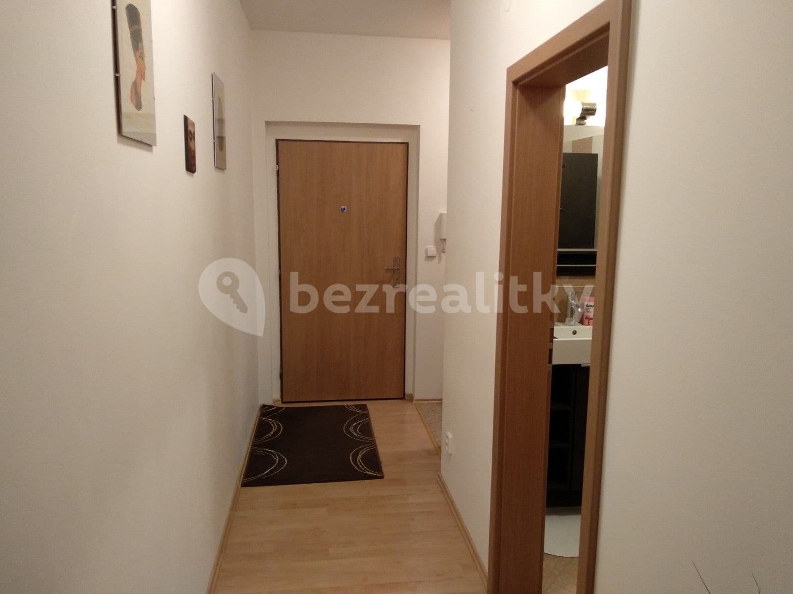 Studio flat to rent, 35 m², U Dráhy, Ostopovice, Jihomoravský Region Studio flat to rent, 35 m², U Dráhy, Ostopovice, Jihomoravský Region