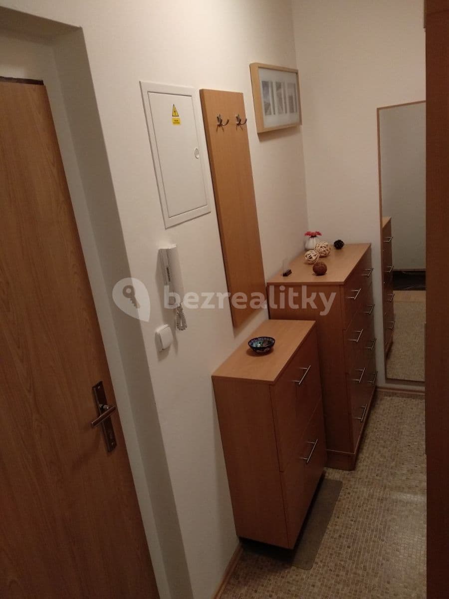 Studio flat to rent, 35 m², U Dráhy, Ostopovice, Jihomoravský Region Studio flat to rent, 35 m², U Dráhy, Ostopovice, Jihomoravský Region