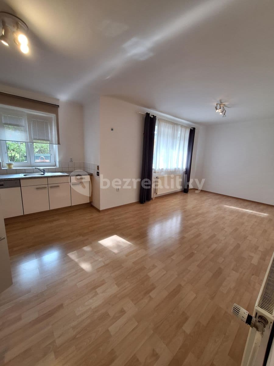 1 bedroom with open-plan kitchen flat to rent, 57 m², U První baterie, Prague, Prague 1 bedroom with open-plan kitchen flat to rent, 57 m², U První baterie, Prague, Prague
